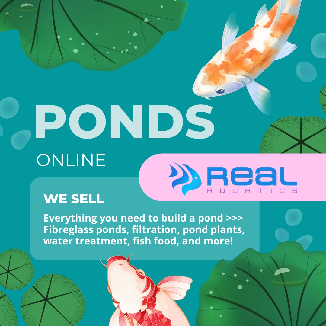 WE SELL PONDS!

We stock everything you need to build a #pond in your garden!

From #fibreglass pools to pond liner, pond pumps and #koi fish food - we are a one-stop shop for all your garden pond needs!

Explore our ranges from top brands like Garden Timber Company, OASE, Pond