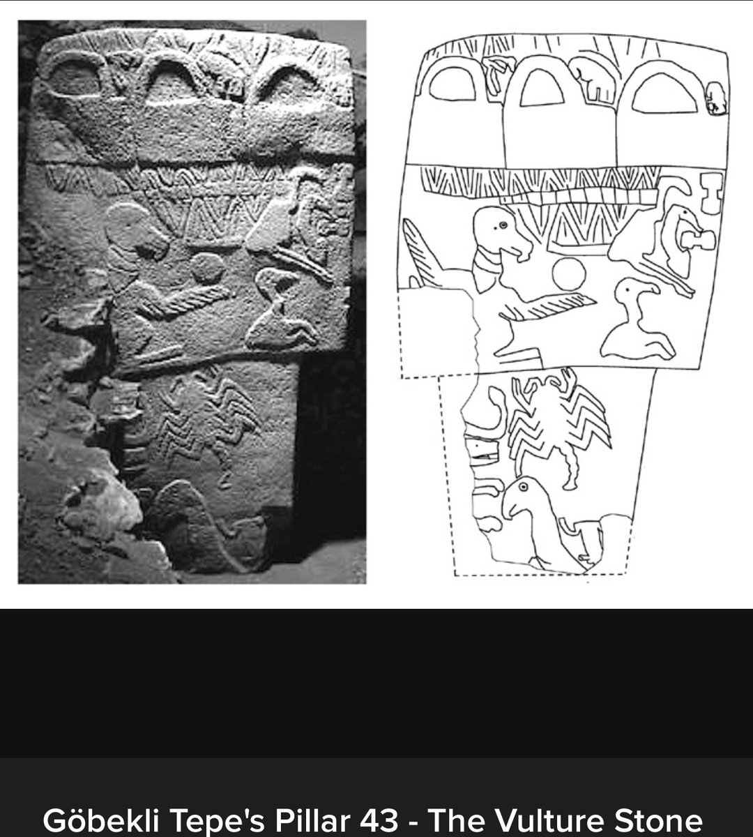 Wen Moon tweet media