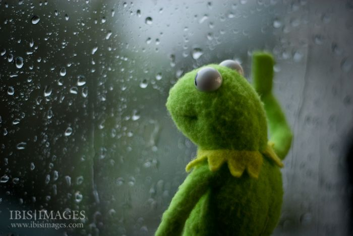 how I feel when a docs page doesnt have "copy as markdown" and so I just crtl-a and pray the llm can parse it