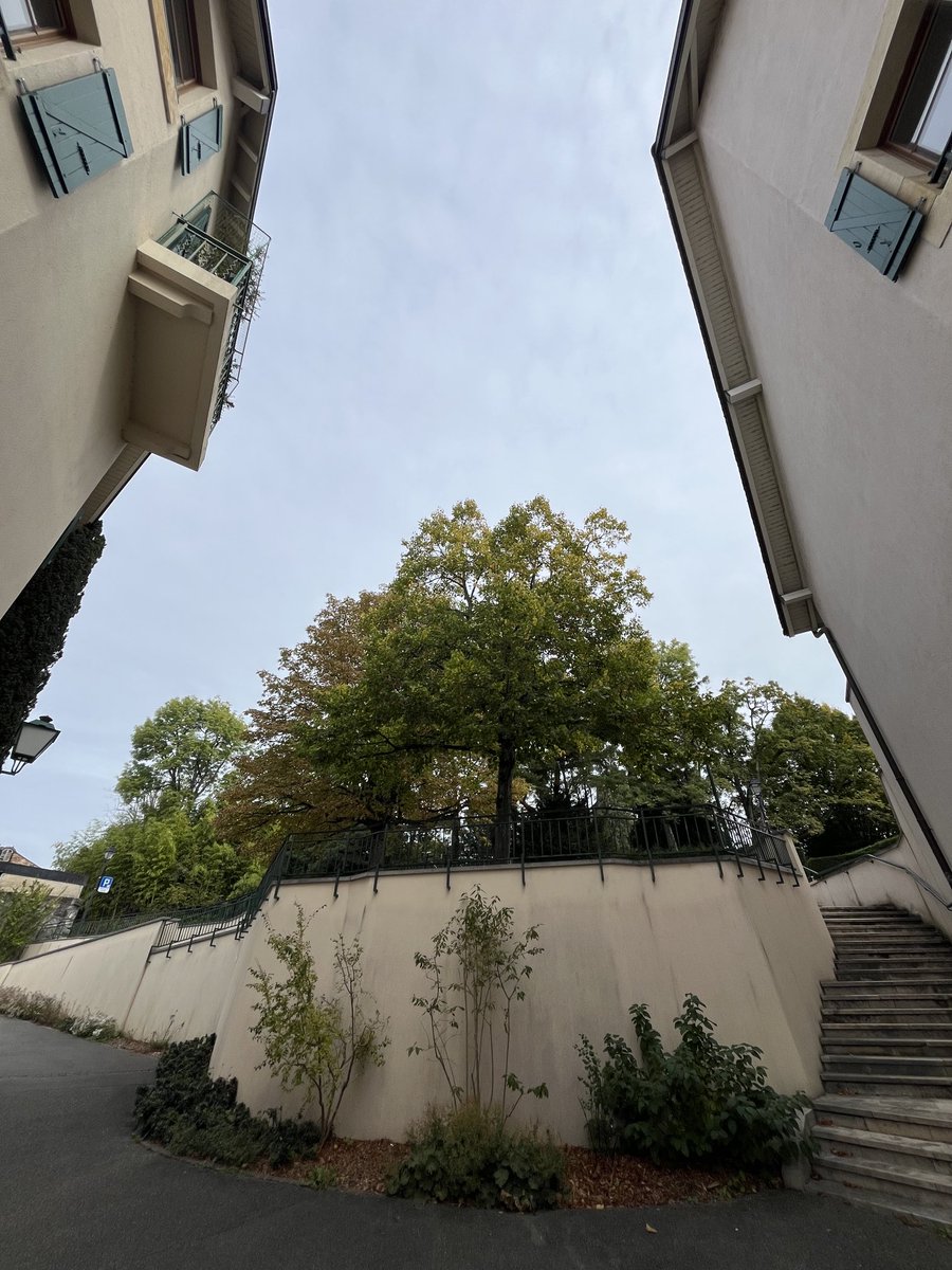 PinkTaxiRunner's tweet image. The mind is its own place and in itself can make a heav’n of hell, a hell of heav’n #johnmilton #cologny