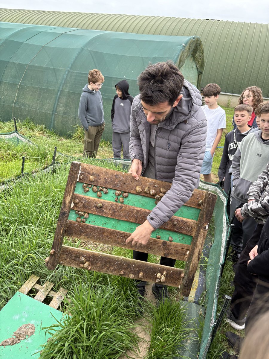 Opal Coast 🇫🇷 - A visit to the Snail Farm to learn all about snails and how they go from the farm to being cooked and eaten! Lots of the group tried the snails and had them walk across their face 🐌 <a href="/MrSandsHT/">Mr Sands</a>