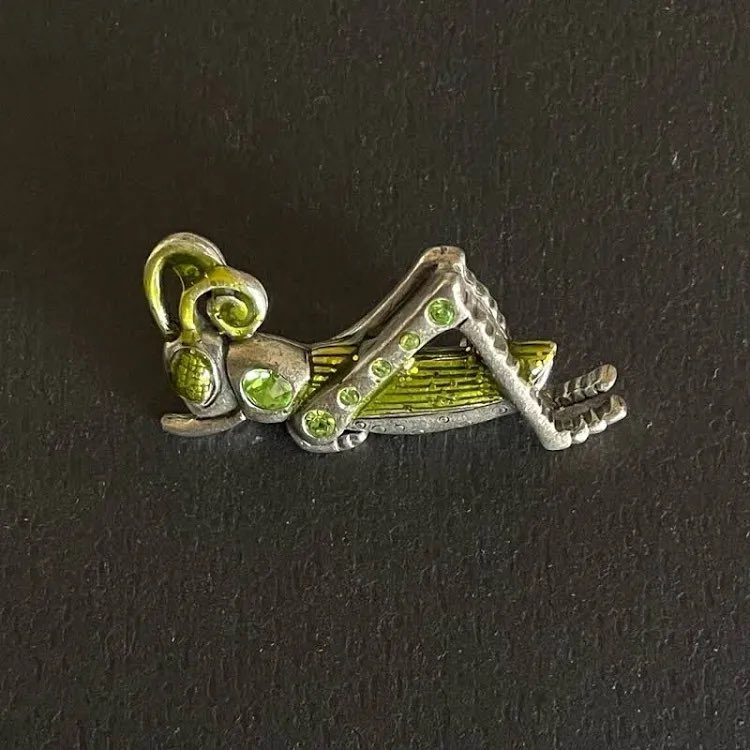 whoever finds a pin that looks like this please take care of her 💔💔💔💔