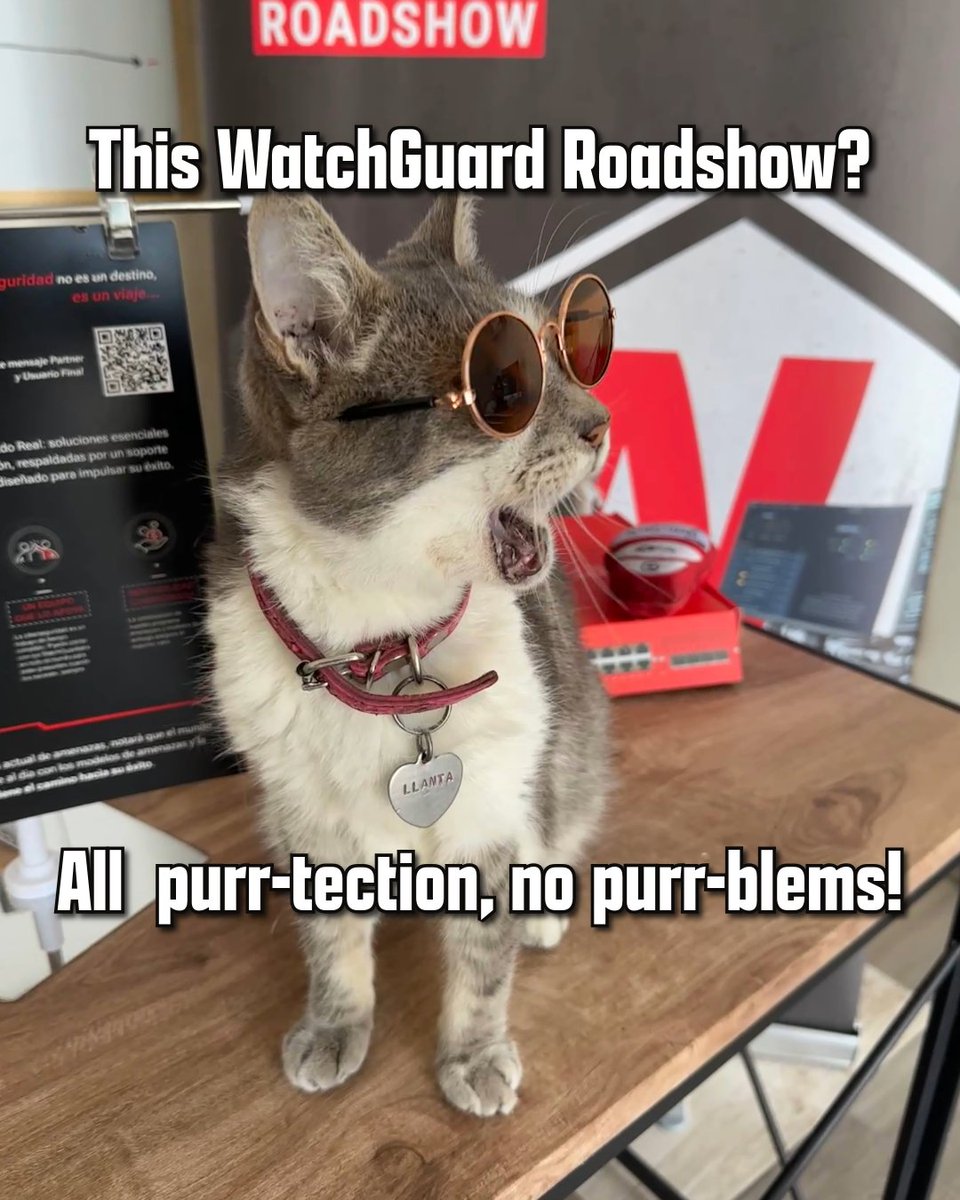 Our Fall Roadshow: Zero Trust Network Edition keeps rolling - bringing Real Security for the Real World to MSPs, MSSPs, and partners everywhere.

See what the hype’s about (and maybe meet a cool cat or two) wgrd.tech/48jiyF4
 
#WGRealRoadshow #WGReal #MSP #MSSP