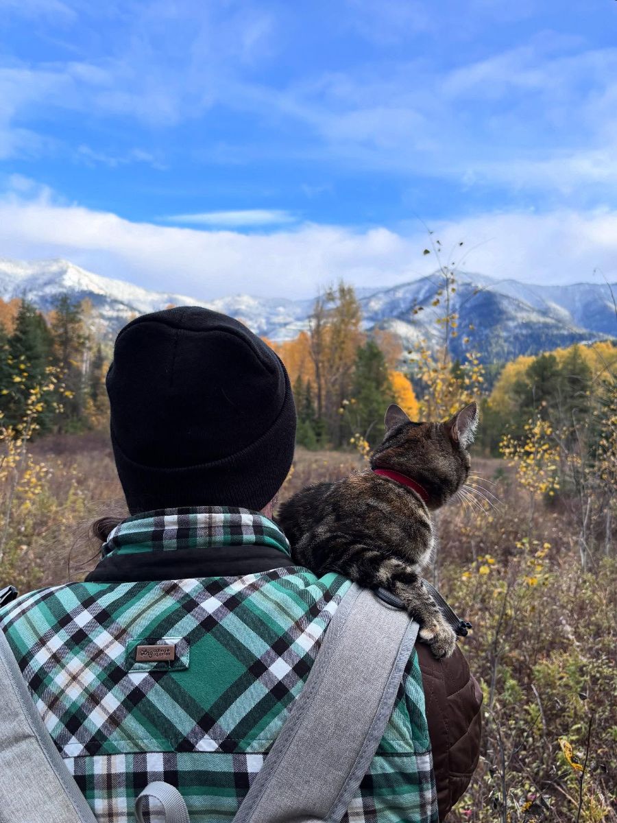 Fernie Fix Magazine tweet media