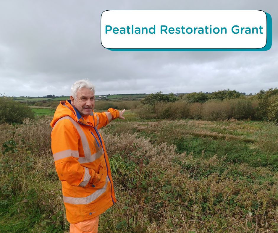 Own peatland?
Restore it with this £10K-£250K grant.
Benefits e.g. reducing flood and fire-spread risk, possible grazing, keeping carbon in the land and reducing GHG emissions, and boosting the bog’s unique nature.
bit.ly/4qbX6bT
<a href="/welshgov/">Welsh Government</a> <a href="/NatResWales/">Cyfoeth Naturiol Cymru | Natural Resources Wales</a> 
<a href="/angleseycouncil/">Isle of Anglesey County Council</a>