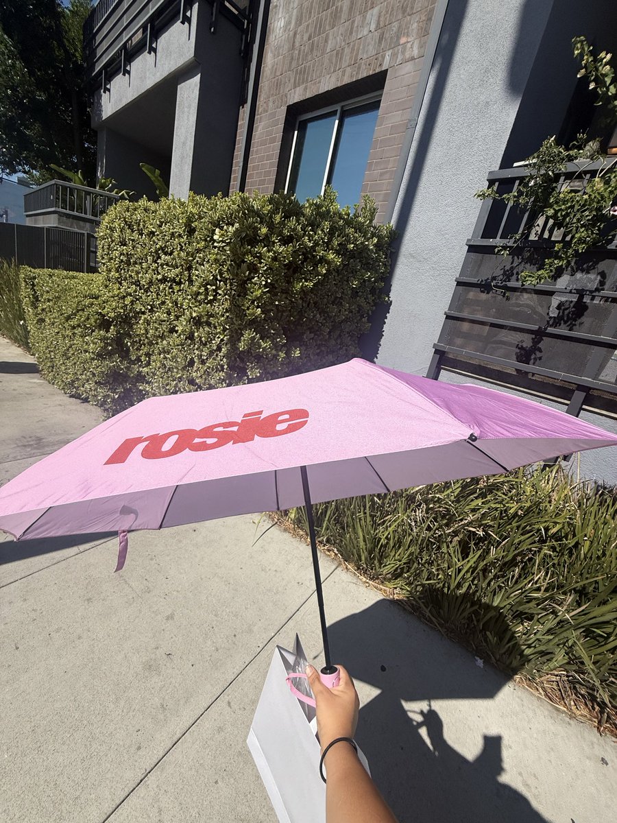 i didn’t know i needed a rosie umbrella