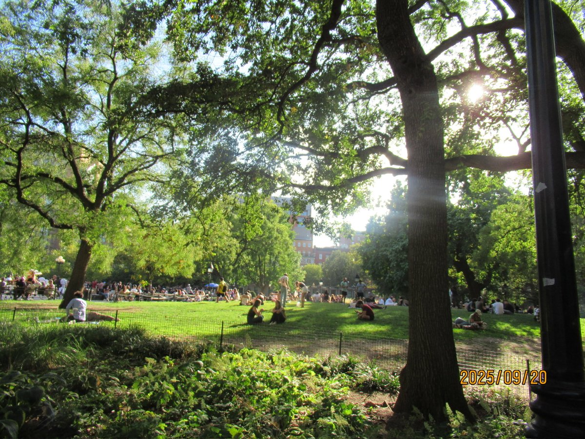 gabsvibes's tweet image. Love letter to a slice of summer.