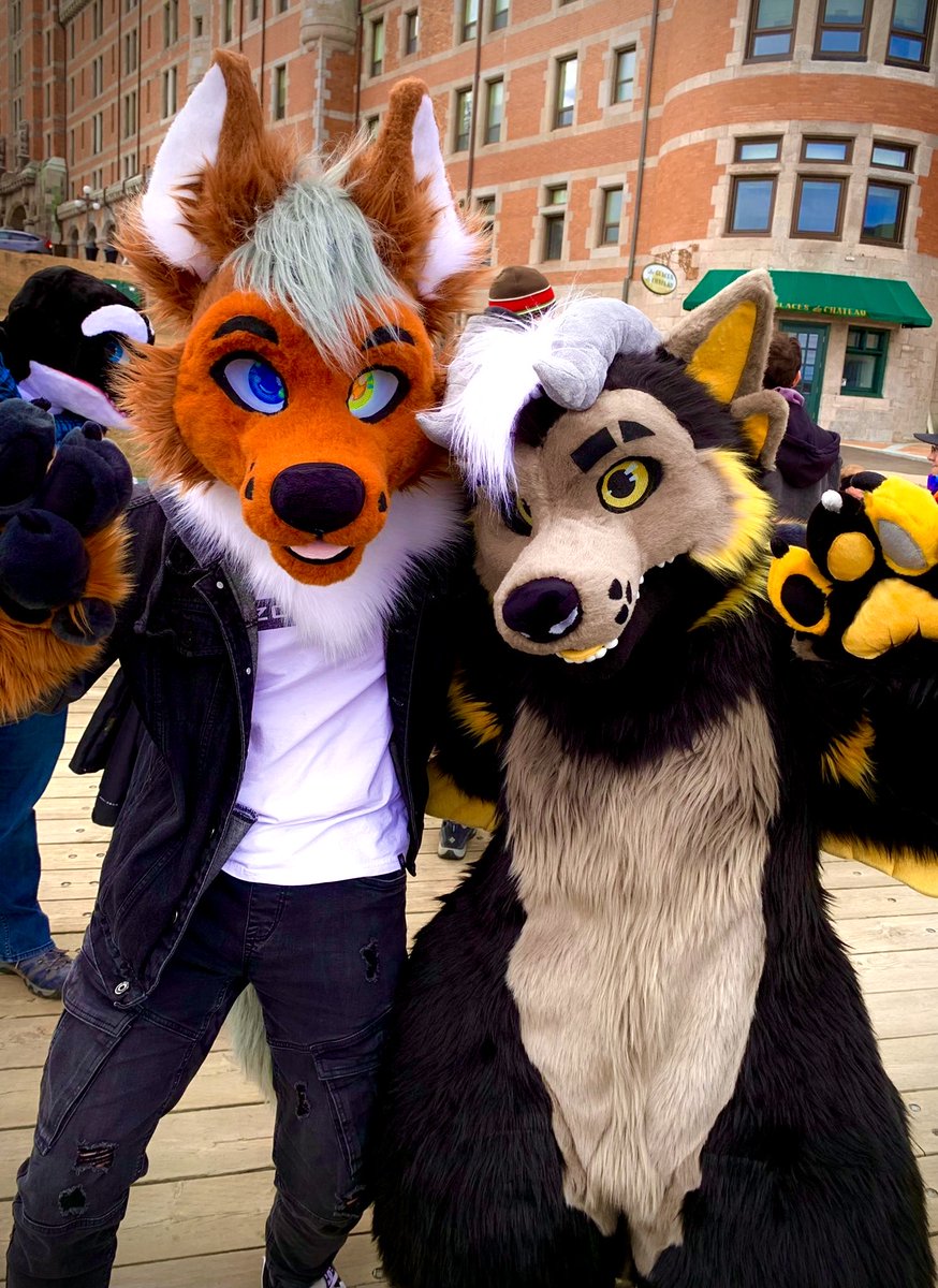 Happy #FursuitFriday!! 🥳
With <a href="/NordstromKaiju/">𒌐 Nordstrom</a>