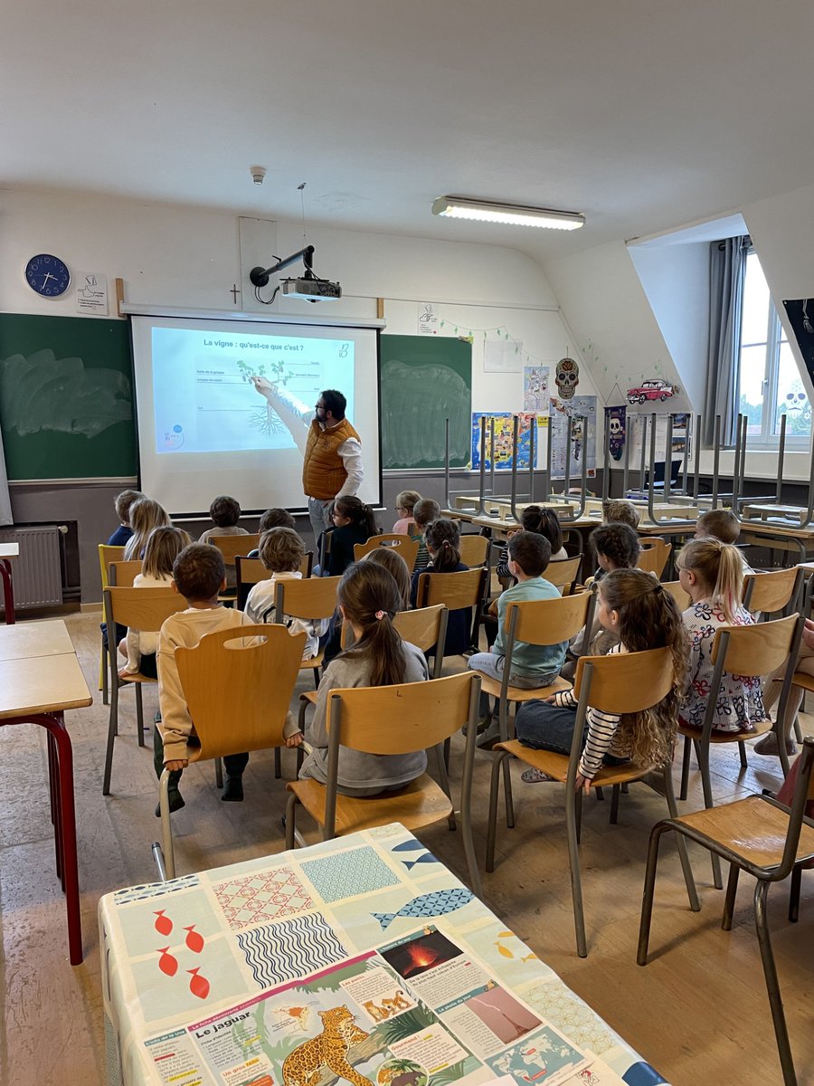 Groupe_ISSIPA's tweet image. Une belle matinée jeudi avec les CP et CE1 de Liesse pour la Semaine du Goût ! 🌿
Au programme : découverte de la vigne, du raisin et des secrets de la nature 🍇
Curiosité et émerveillement garantis 💚

#SemaineDuGoût #Vigne
