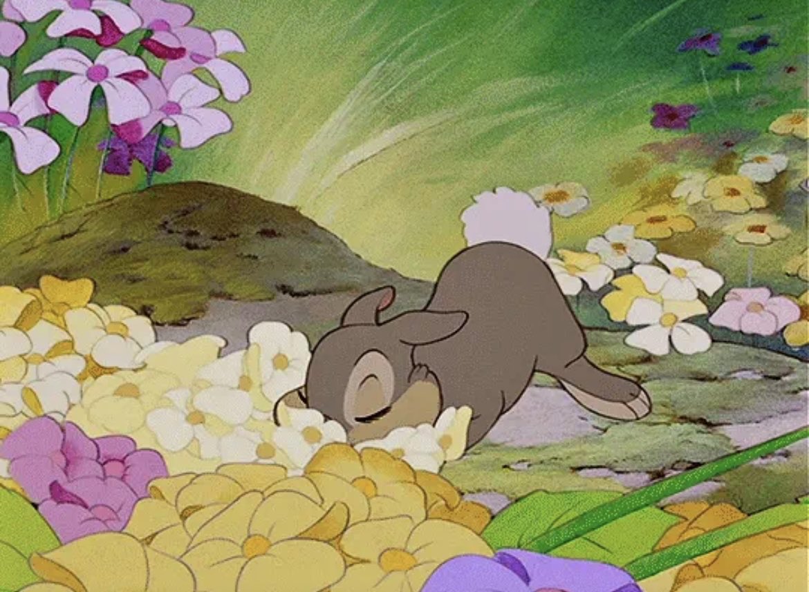 thinking about bambi ♡