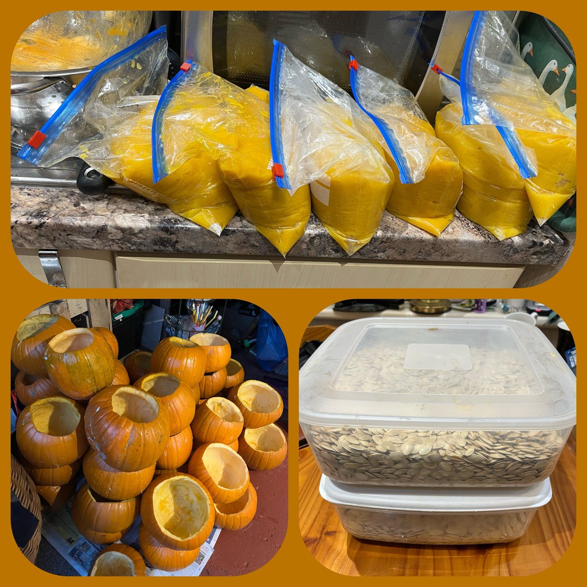 Jen W 🪣 tweet media