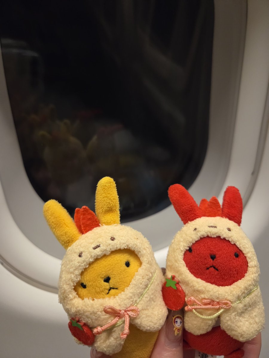 シエン tweet media