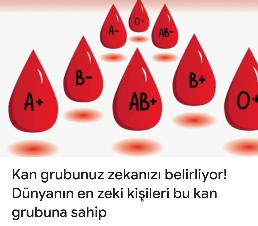 elf aga tweet media