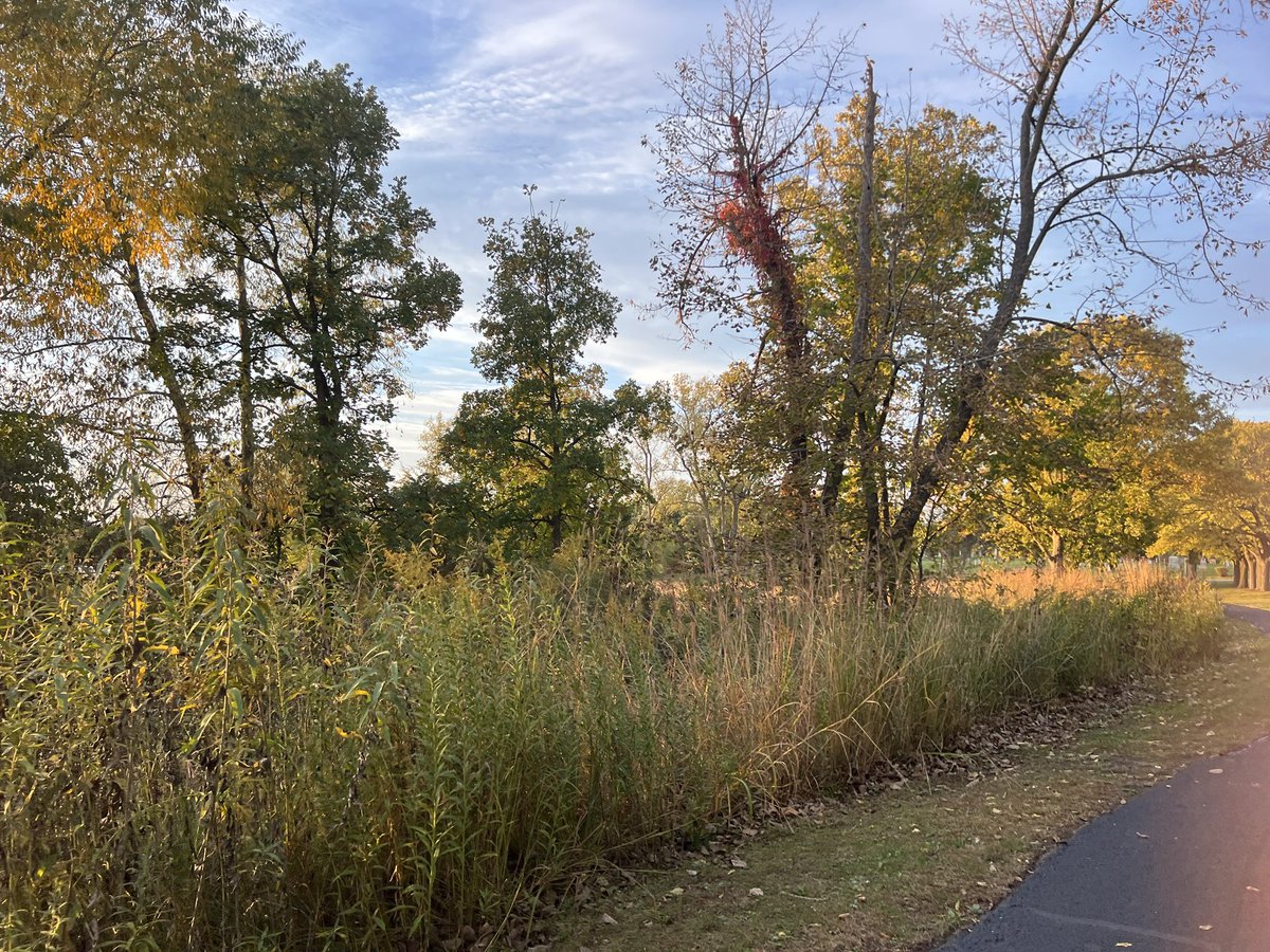 Fantastic week in @nssd112. Evening run to cap it off. Here’s to a great weekend!