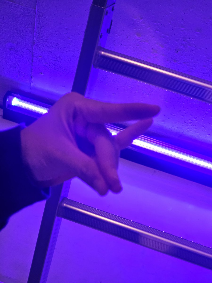 cHiHRo_n's tweet photo. #京都国際舞台芸術祭 #MoreExperiments #KEX2025
本日11時よりRE:BORN
#duct #newroom 始まります!!
11時回 残4席
20時回 🎉満席🎉
飛び込み観劇◎大歓迎◎
寄付制なので気軽にお越しください
https://t.co/G2u2fFk9GY https://t.co/5hsbpIV17m