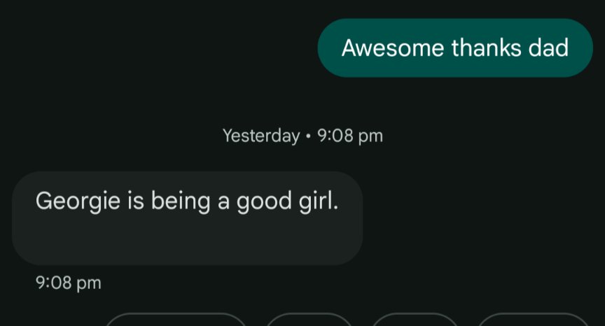 Important update from dad re: dog sitting