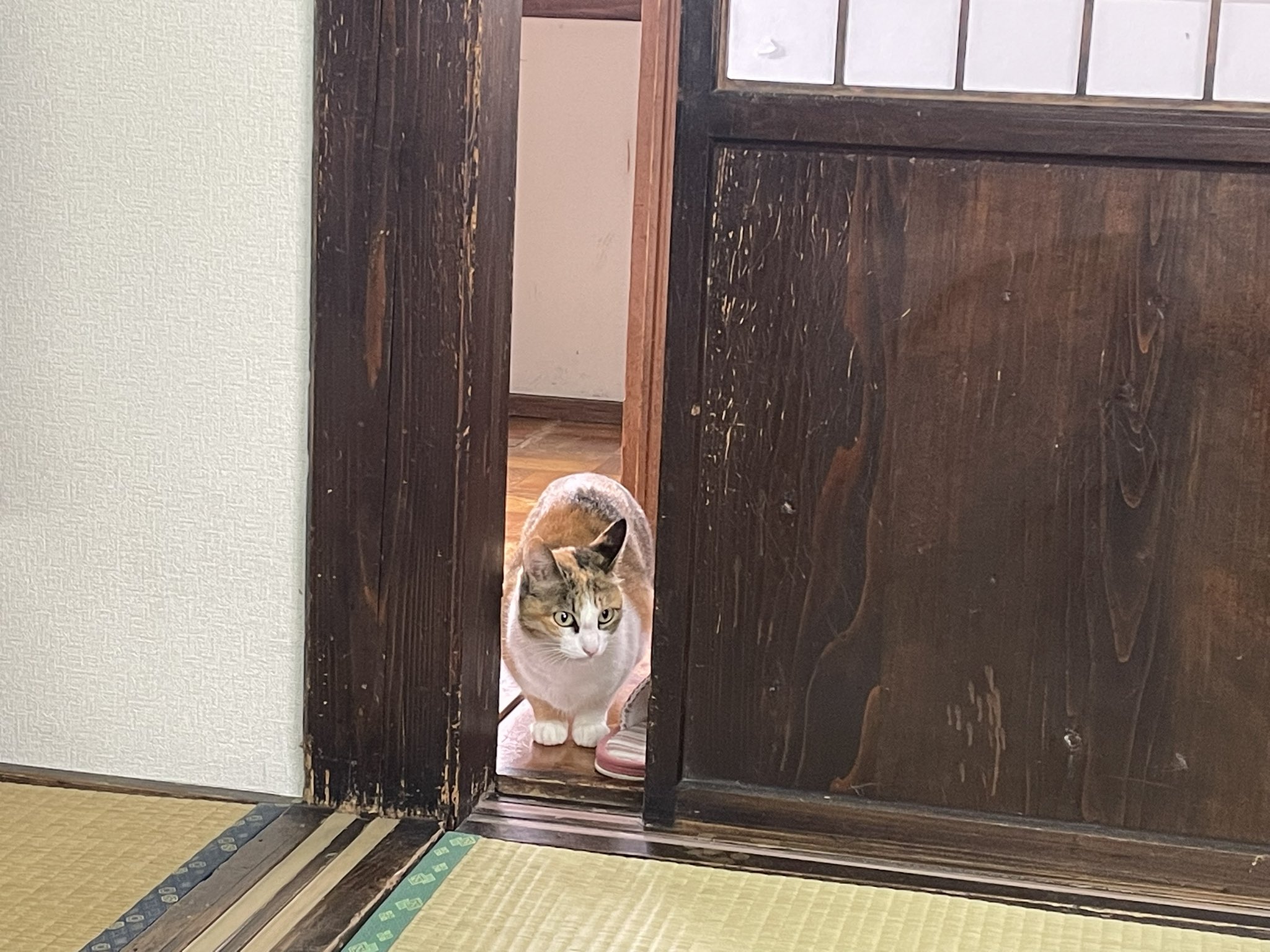 【まるりん】 まるりん@レクチャーガイド受付中！ (@anglermarurin) / Posts / X