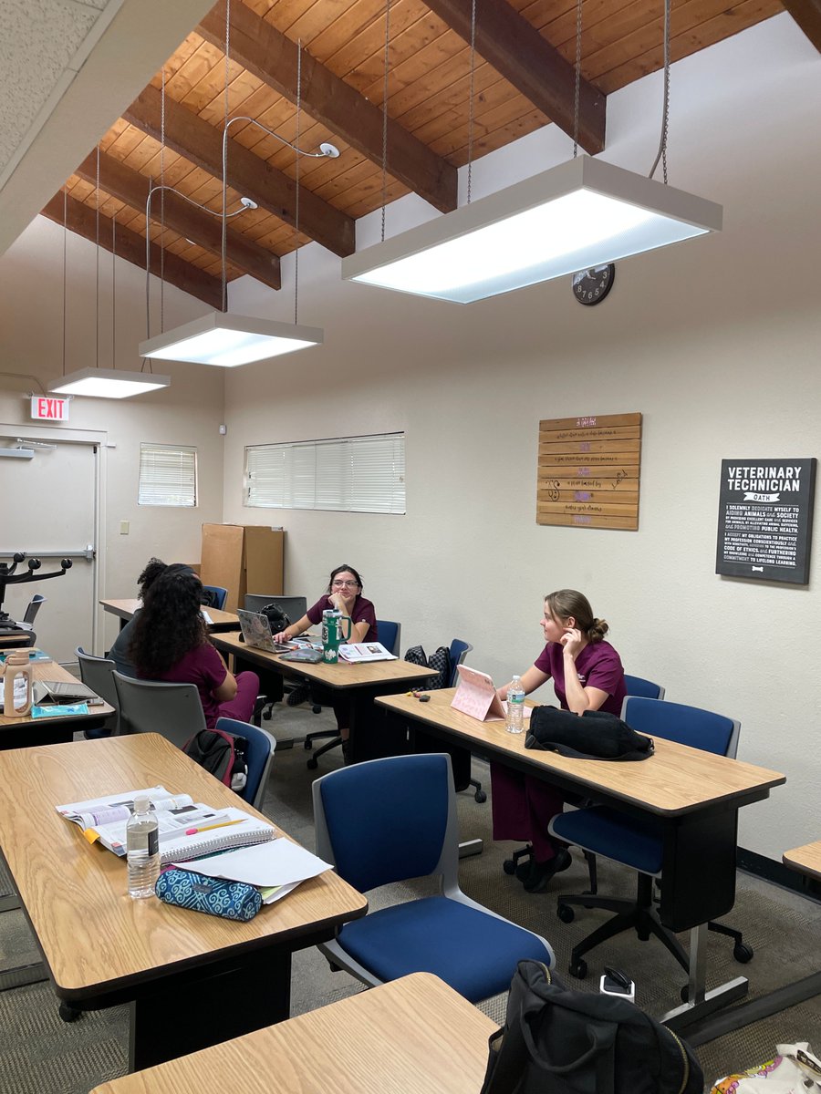 mesacc's tweet image. 🐾 Happy #NationalVetTechWeek!
Meet Melodie Bridges, an MCC Vet Tech student gaining hands-on experience with animals (like Banana 🐱). She loves the tight-knit program, supportive faculty &amp;amp; real-world learning that prepares her for a career in animal care. 💙

#MesaCC #VetTech