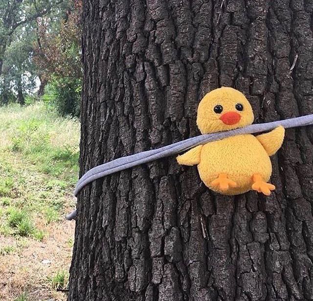 Mai55777769247's tweet image. هاربه من ضغوطات الحياه🫣