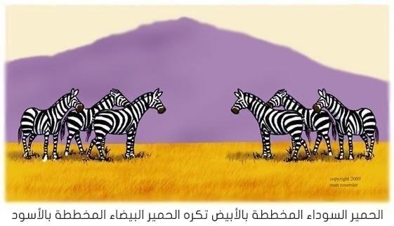 lilx8i's tweet image. مناكفات الفلسطيني والسوري