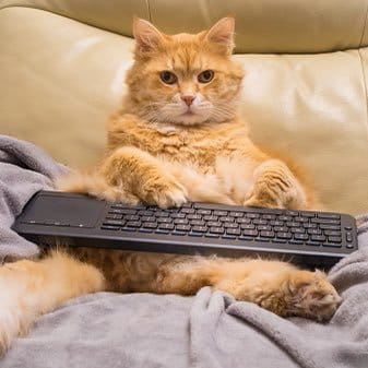 AcademicEHelp's tweet image. At your service, good students.