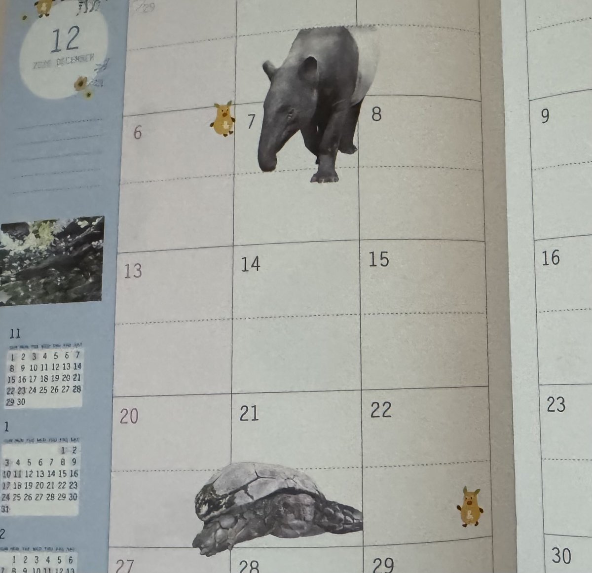 rin28na1's tweet photo. 今年も年パス更新してスケジュール帳いただきました
#東山動植物園　#年パス https://t.co/mIrlVxrGNL