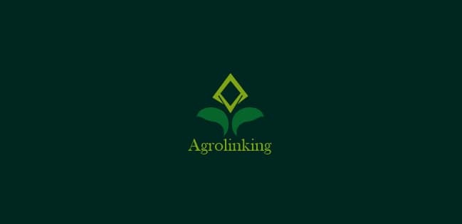 Monkey_OnChain.🐒 tweet media