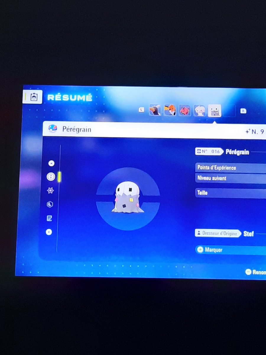 Stefdurhone's tweet photo. Pour l'instant 2 shiny rencontrés dans AZ, curieux de savoir si le taux de shiny à changé comparé aux jeux précédents ... https://t.co/UfA7Cp8ysA
