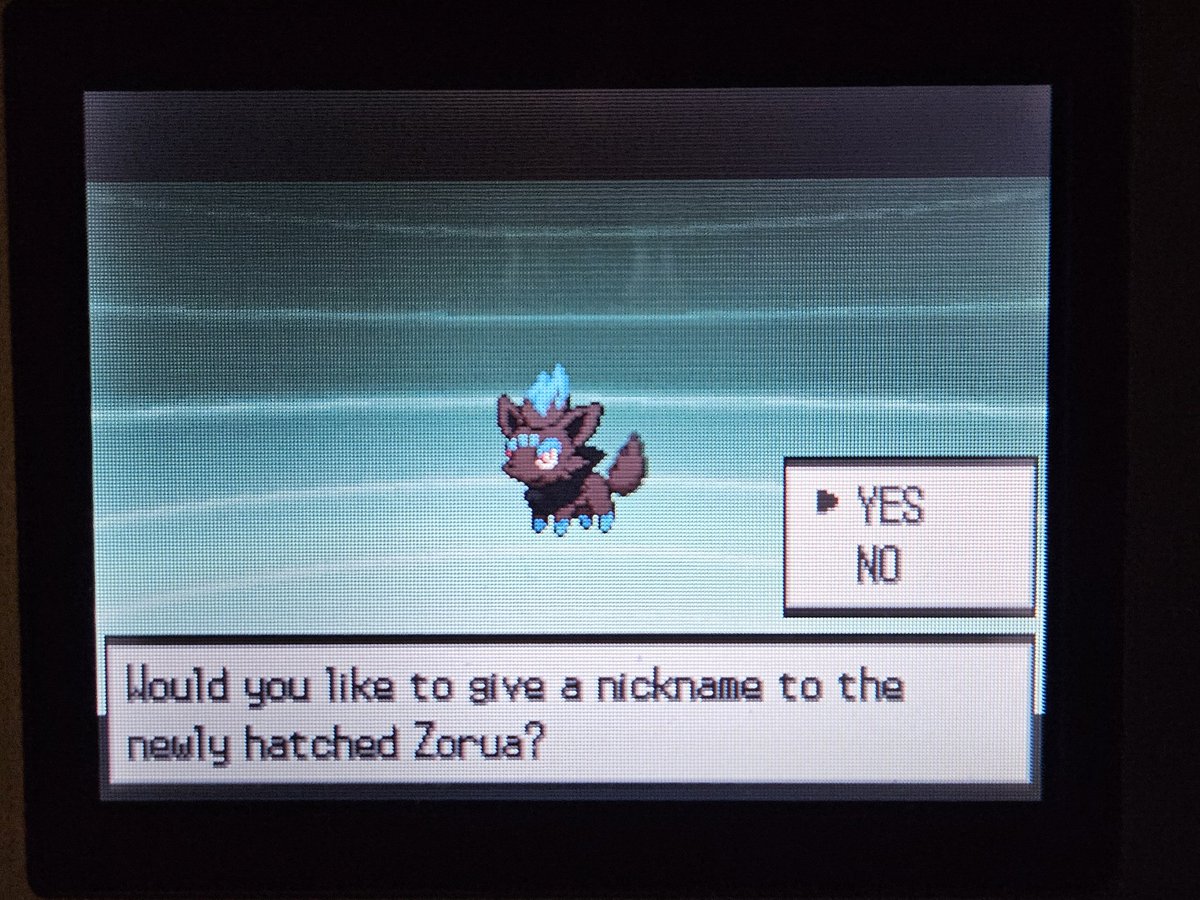 Shiny Zorua after 3,308 full odds eggs hatched! This is easily one of my favorite shinies, so it was well worth hatching eggs to find it! Also, Hatching Power S made a huge difference! #Pokemon
#ShinyPokemon 
Video: youtu.be/Q4WP1Znq8II?si…
