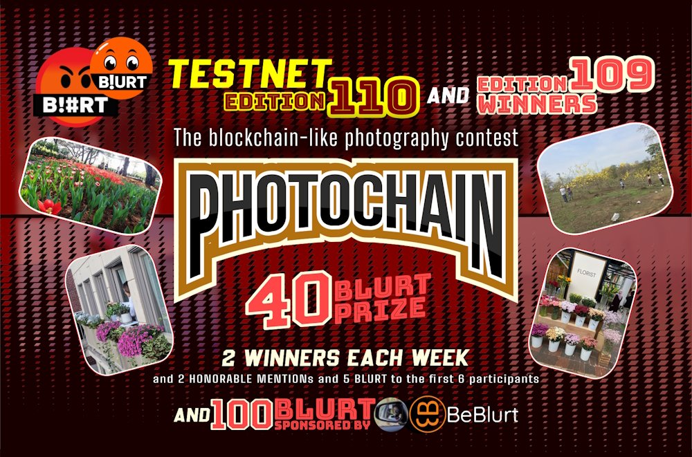EveryWork1's tweet photo. PHOTOCHAIN Testnet - Edition 110
BLURT Edition
Photography contest FOR FUN
on @BlurtOfficial, @R2cornellB, @teammexicopro, @BlurttribeC and @be_blurt
#photochain #contest #challenge #fun #Web3 #photography #game #blurtgame #blurt #blog #blurtblockchain
https://t.co/0SXFLq3TIT https://t.co/1jnk64ltt0