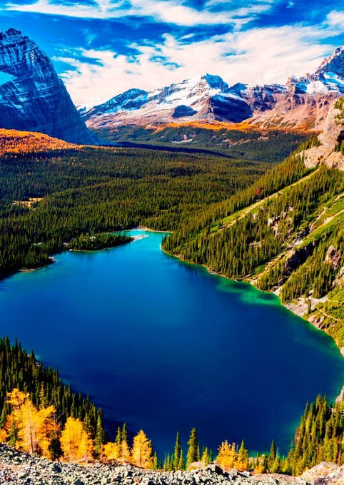 videothebest's tweet photo. High mountain view shows Lake O'Hara bright blue against autumn colors of larch trees in Yoho National Park, British Columbia, Canada  🇨🇦 https://t.co/urnZH0zGcf