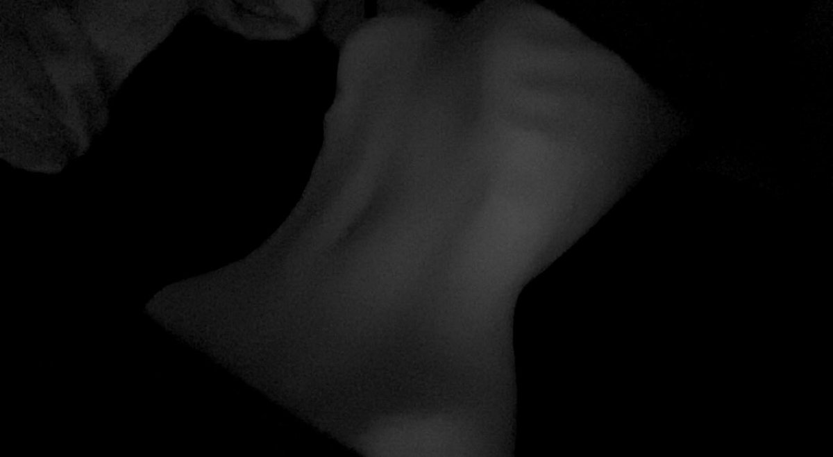 luvcreeps's tweet image. getting navel pierced soon Horrified my piercer is gonna call me a fatfuck amd Kill me #shedtwt #edtwt