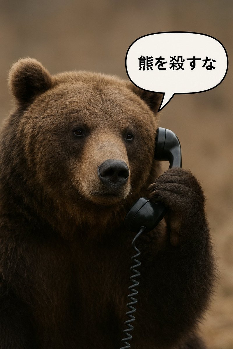 にくきう🐾 on X: 