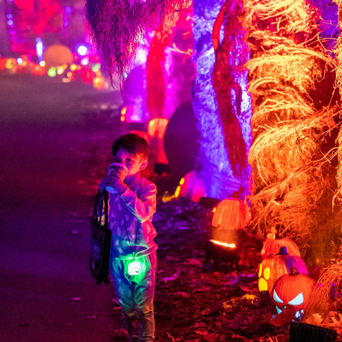 Newfields - A Place for Art & Nature tweet media