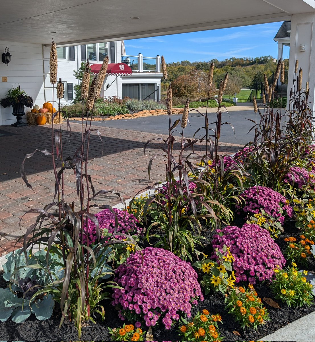 TerraceParkCC's tweet image. What a beauti-fall day! 🌞🍁 #tpcc #fallflowers