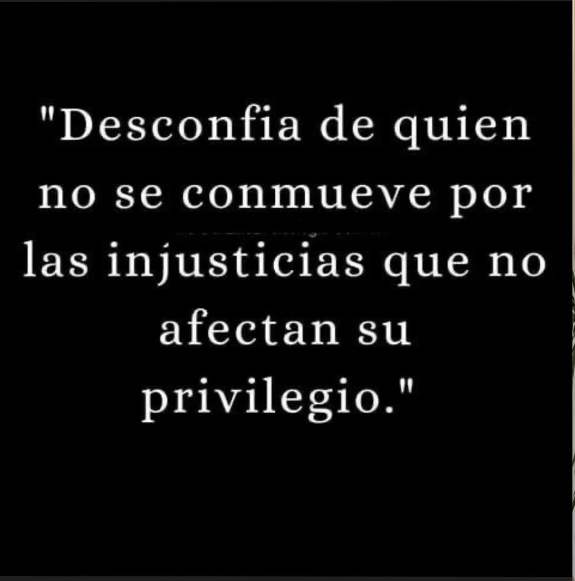 Daneiris Mercado🦉 tweet media