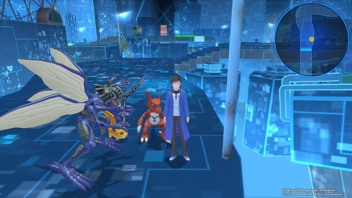 Quem não tem cão caça com gato