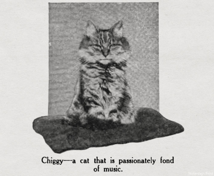 🌴 Vagrant 🌴 (@vagranttravels) on Twitter photo 