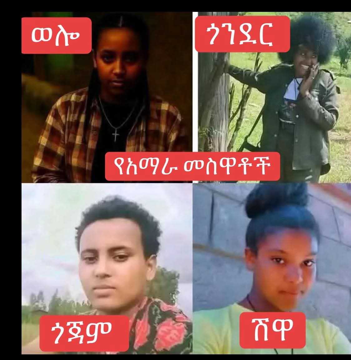 Geteriew1's tweet photo. ➽የእርስት የግዛት ስማችን 
➽ሸዋ ቤተ አማራ ጎንደር ጎጃም ነው
➽ማንነታችን አማራ  ነው።
➽ጠላቶች የሚገሉን በአማራነታችን ነው።
➽መከላከያና የኦሮሞ ልዩ ሀይል የአማሮችን ሴቶች "ጡት ቆረጡት ሰውነታቸውን በሳጃ ገፈፉት"⚠️
#AmharaGenocide https://t.co/SZVuooca8c