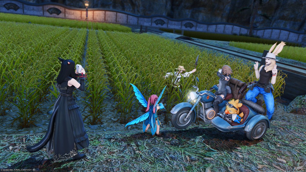 mistkujata's tweet photo. #MIRACOS メンバーでハロウィン撮影~
#HousingNoah さんのスタジオお借りしました!
ミーガンとチャイルドプレイのティファニーしてきました
メンバーの景品つきミニゲームでも楽しめました!ありがとう!
おまけのミホーク農作業姿をみなでいじり倒す回
#コスプレミラプリ #FF14 https://t.co/VRrUR5knLn