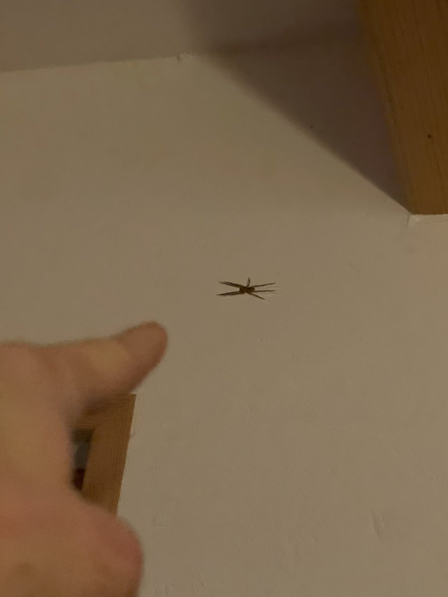 Kurwaaaa😭😭 guyssss help me 

I’ll give you kiss but help