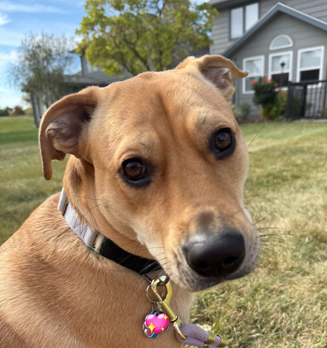 I love working with animals so so much. 🥹