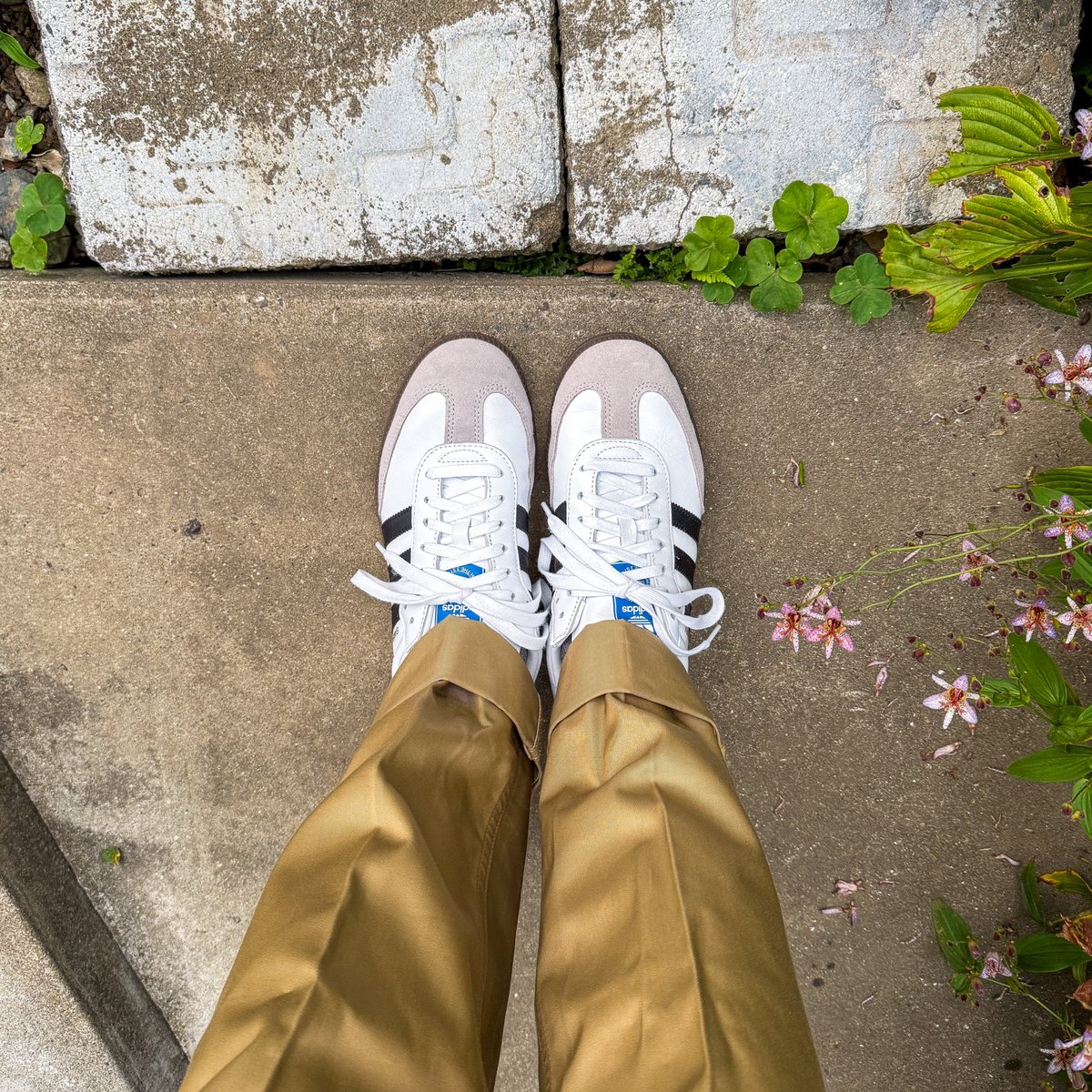 sthkzn's tweet image. adidas

早めに出発。寄り道してから職場へ。

#adidas #adidassamba #samba #アディダス #アディダスサンバ #サンバ #今日の足元 #sotd #shoesoftheday #アナトミカ #anatomica