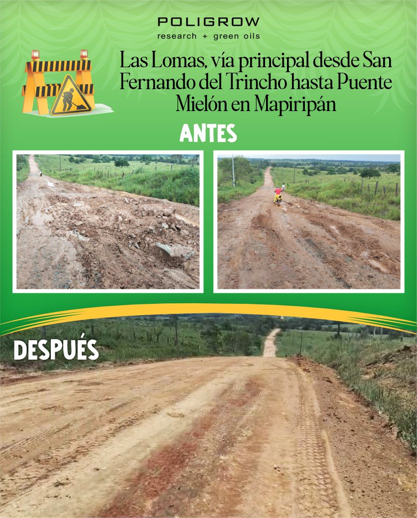 poligrow's tweet photo. ¡Dónde hay compromiso, hay caminos que transforman! 

Nuestro equipo de infraestructura, en alianza con la Alcaldía de Concordia, mejoró 5 km de vía utilizando material de río y petroférrico, seleccionados por su resistencia y capacidad de drenaje. https://t.co/waQFgc4OEL