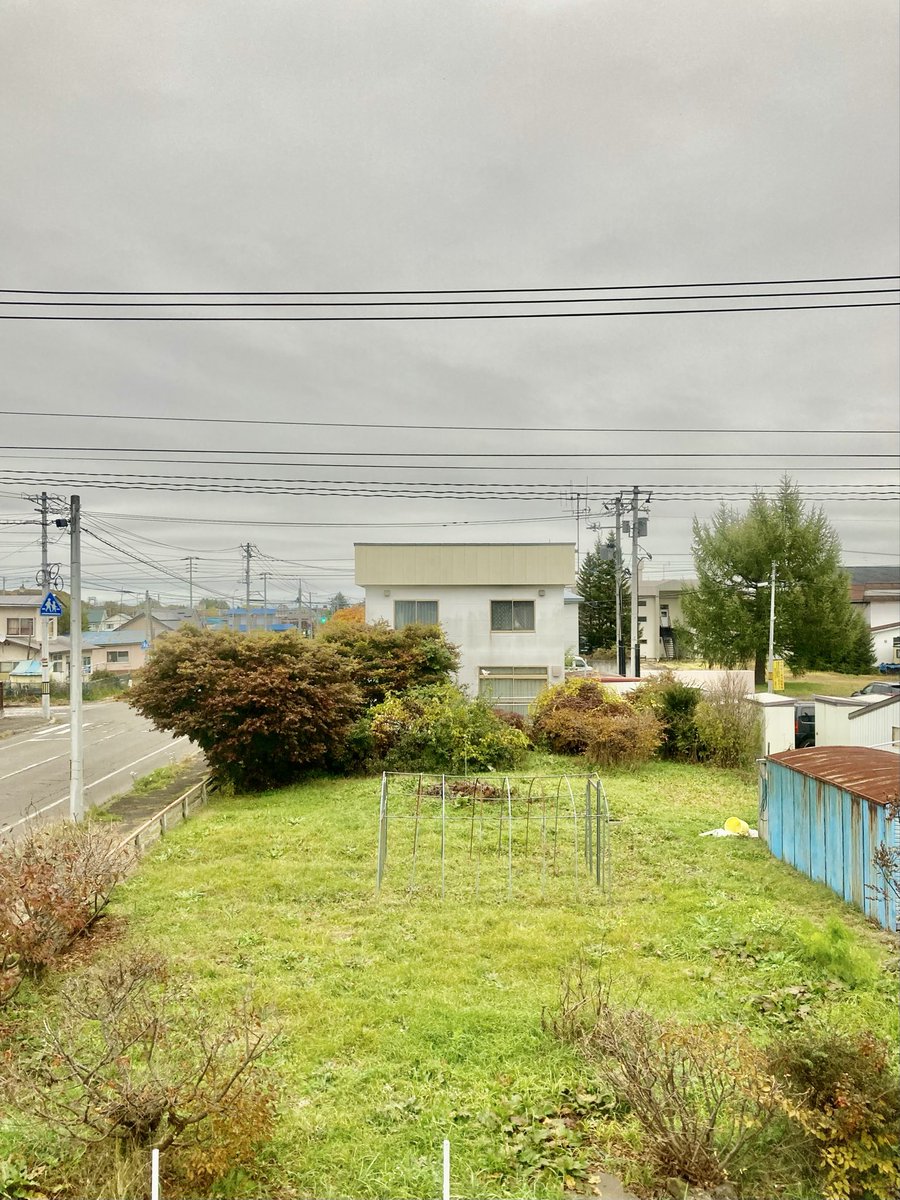 やっぱり今日も不安定な天気らしいね。
#ohayomorning