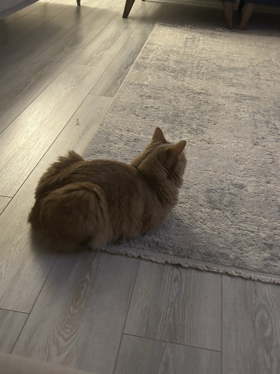 Habalar soğudu dostlar kendimise sarılalım