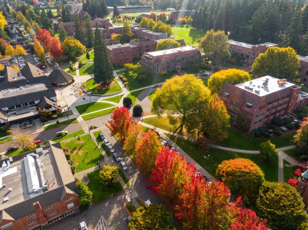 Jeff Thomas tweet media