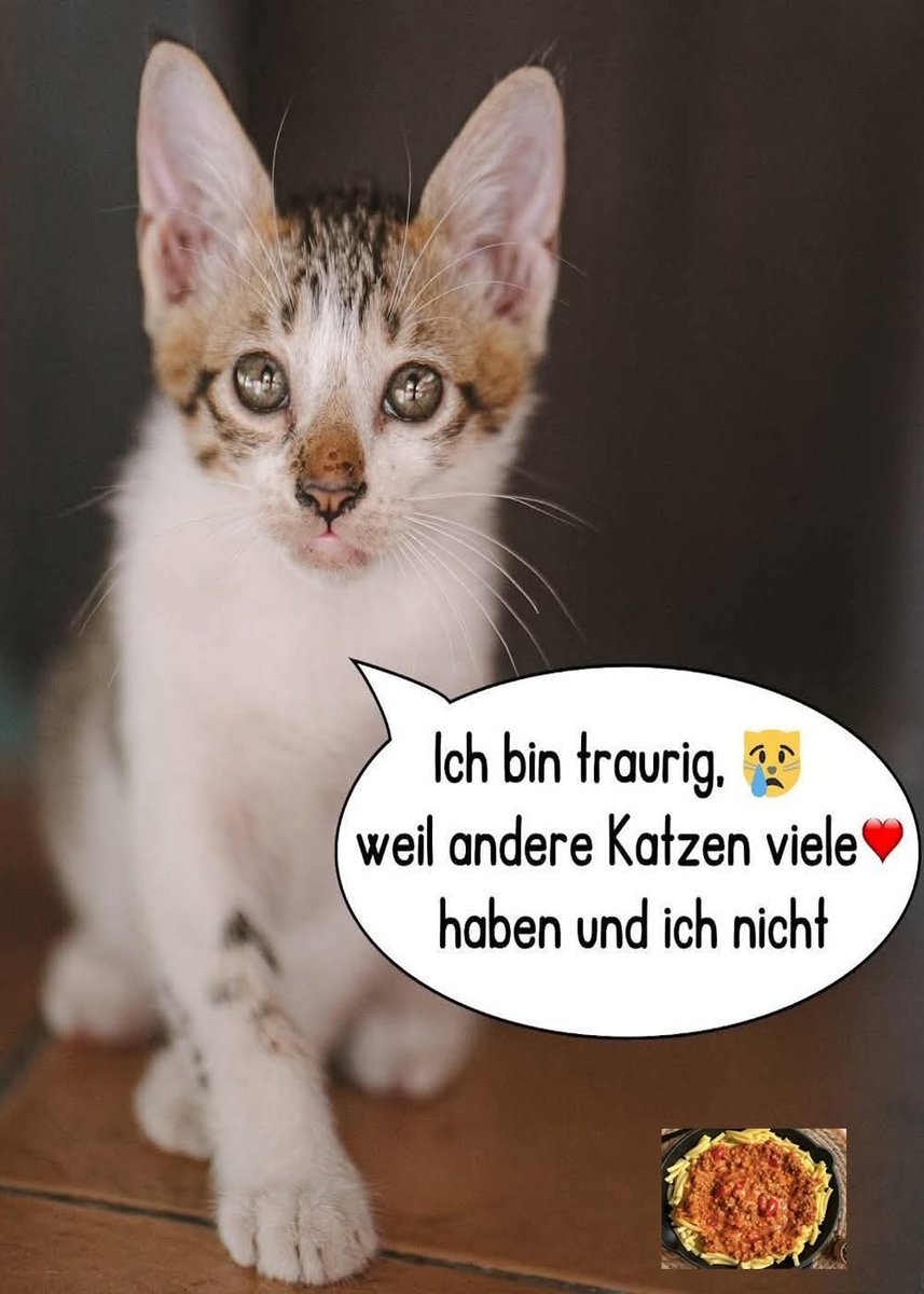 Mihokitzune Ceo of flauschigkeit (@mihokitzune) on Twitter photo 