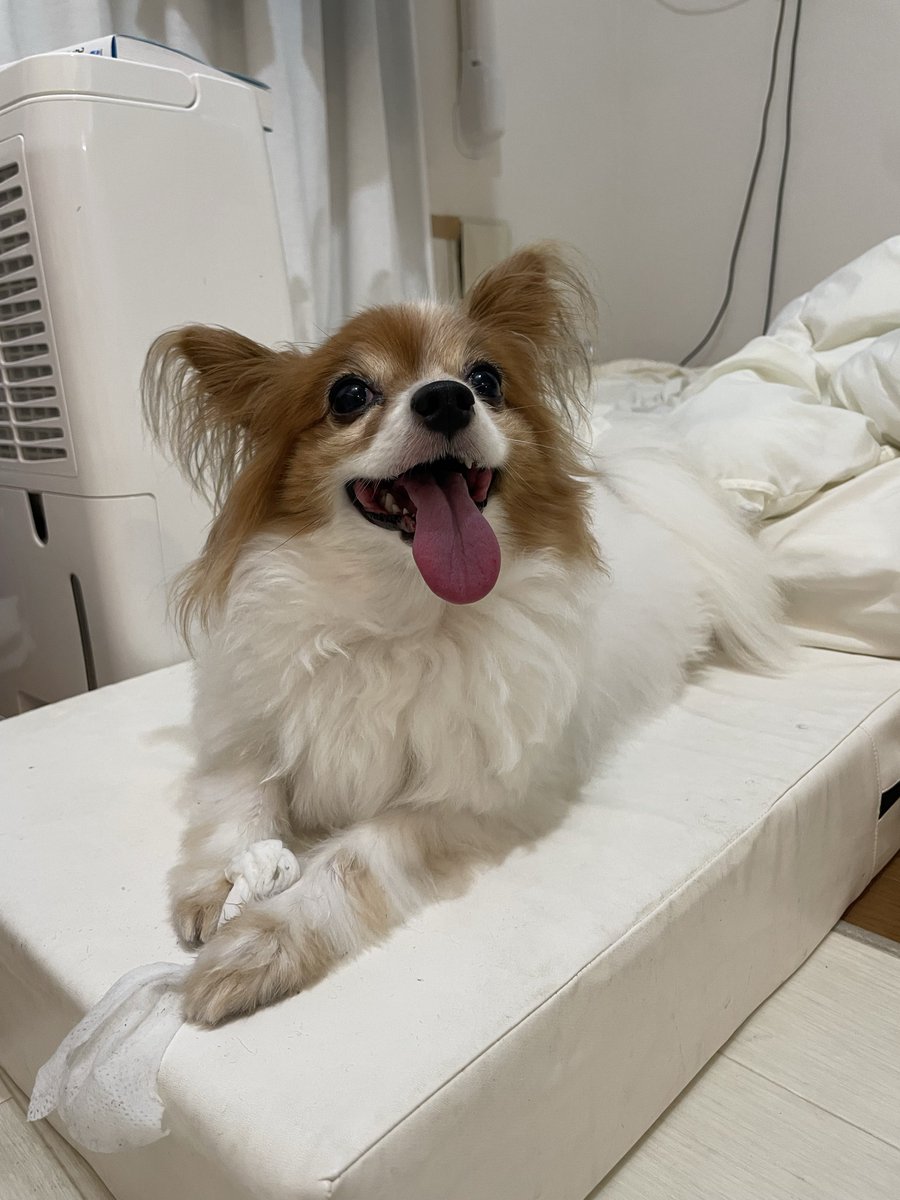 走って楽しいね！