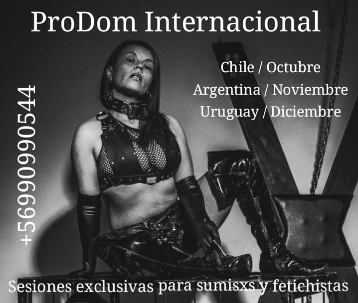 Sr Candy ❤️‍🔥 ProDom tweet media